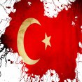 ALEMİN DERMANI